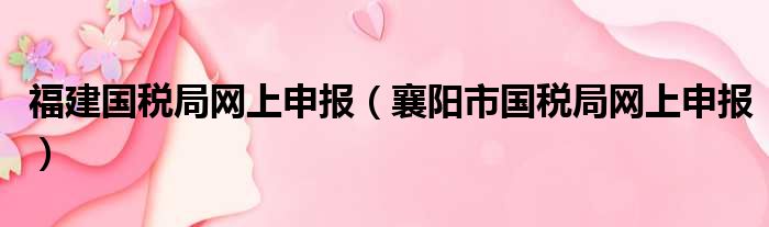 福建国税局网上申报（襄阳市国税局网上申报）