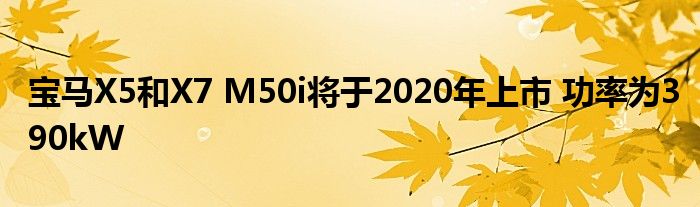 宝马X5和X7 M50i将于2020年上市 功率为390kW