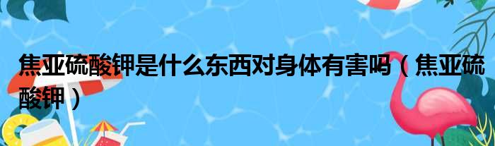 焦亚硫酸钾是什么东西对身体有害吗（焦亚硫酸钾）