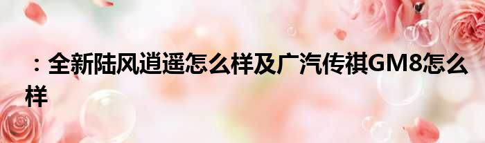 ：全新陆风逍遥怎么样及广汽传祺GM8怎么样