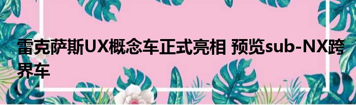 雷克萨斯UX概念车正式亮相 预览sub-NX跨界车