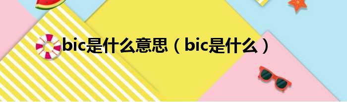 bic是什么意思（bic是什么）