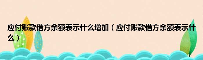 应付账款借方余额表示什么增加（应付账款借方余额表示什么）