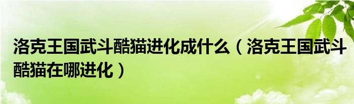 洛克王国武斗酷猫进化成什么（洛克王国武斗酷猫在哪进化）