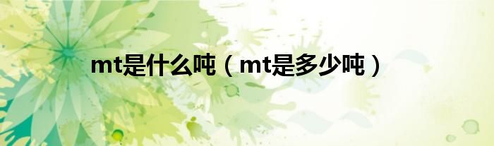 mt是什么吨（mt是多少吨）