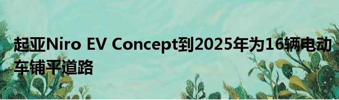 起亚Niro EV Concept到2025年为16辆电动车铺平道路