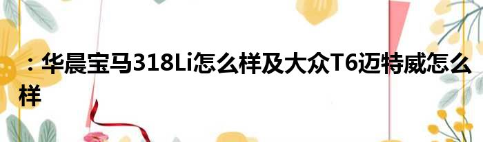 ：华晨宝马318Li怎么样及大众T6迈特威怎么样