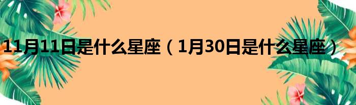 11月11日是什么星座（1月30日是什么星座）