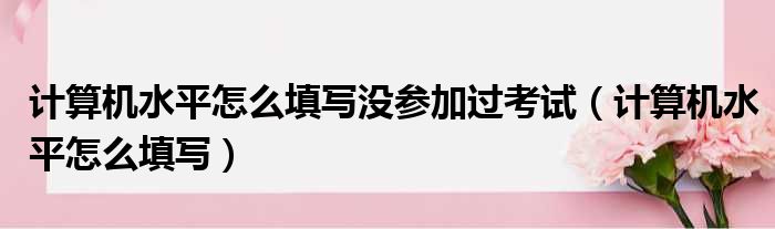 计算机水平怎么填写没参加过考试（计算机水平怎么填写）