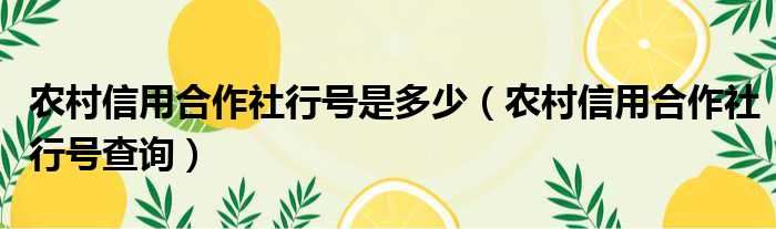 农村信用合作社行号是多少（农村信用合作社行号查询）