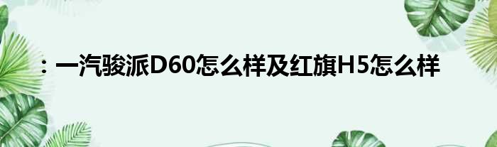 ：一汽骏派D60怎么样及红旗H5怎么样