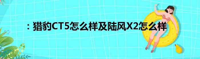 ：猎豹CT5怎么样及陆风X2怎么样