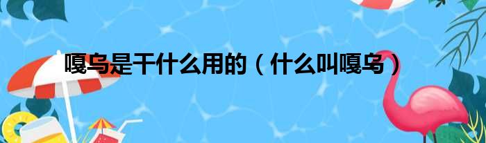 嘎乌是干什么用的（什么叫嘎乌）