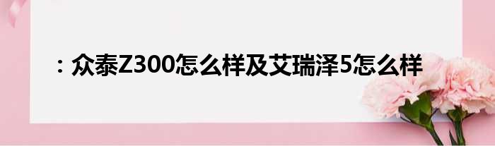 ：众泰Z300怎么样及艾瑞泽5怎么样