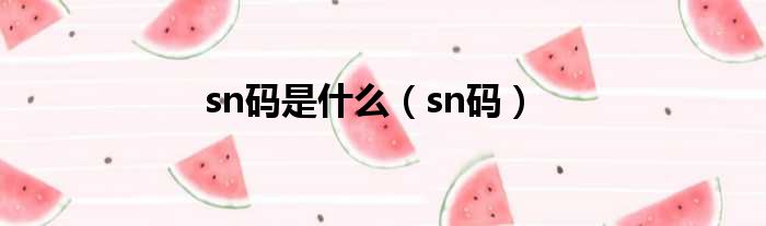 sn码是什么（sn码）