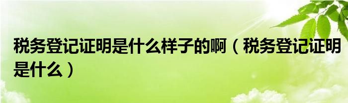 税务登记证明是什么样子的啊（税务登记证明是什么）