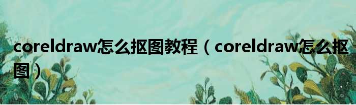 coreldraw怎么抠图教程（coreldraw怎么抠图）