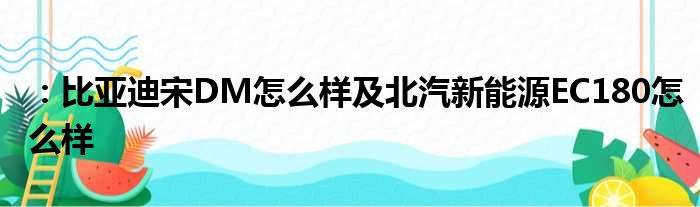 ：比亚迪宋DM怎么样及北汽新能源EC180怎么样