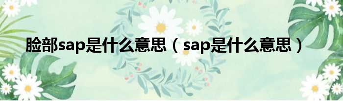 脸部sap是什么意思（sap是什么意思）