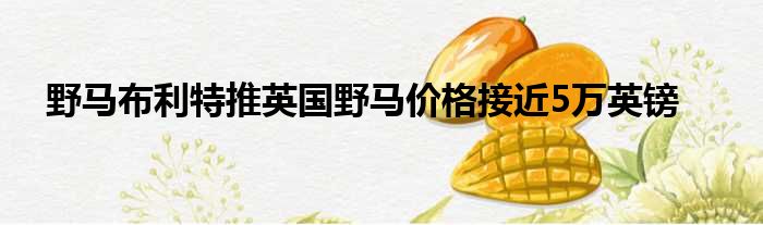 野马布利特推英国野马价格接近5万英镑