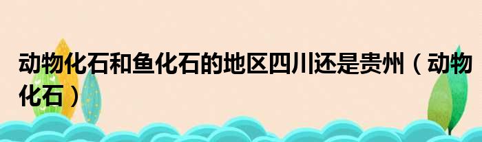 动物化石和鱼化石的地区四川还是贵州（动物化石）