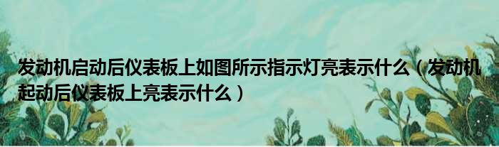 发动机启动后仪表板上如图所示指示灯亮表示什么（发动机起动后仪表板上亮表示什么）