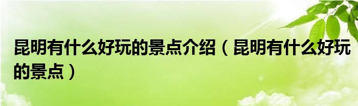 昆明有什么好玩的景点介绍（昆明有什么好玩的景点）