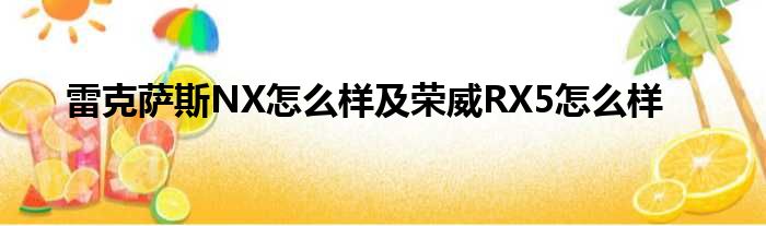 雷克萨斯NX怎么样及荣威RX5怎么样