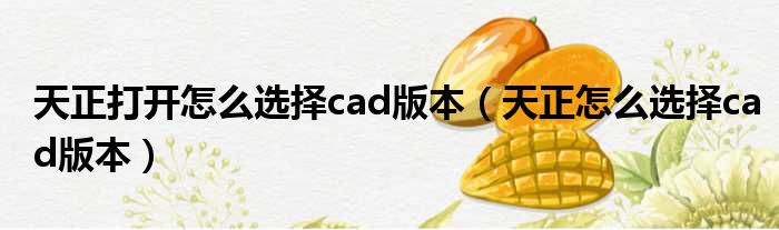 天正打开怎么选择cad版本（天正怎么选择cad版本）