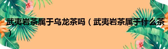 武夷岩茶属于乌龙茶吗（武夷岩茶属于什么茶）