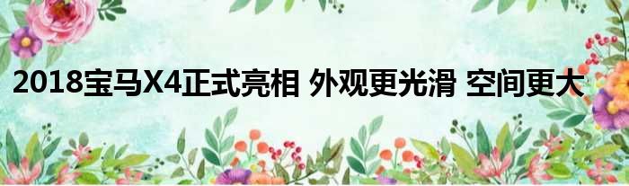 2018宝马X4正式亮相 外观更光滑 空间更大