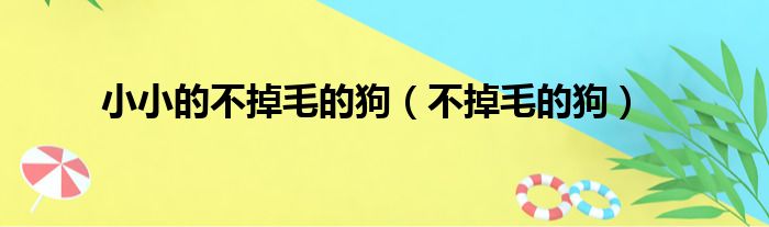 小小的不掉毛的狗（不掉毛的狗）