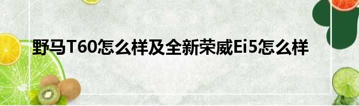 野马T60怎么样及全新荣威Ei5怎么样