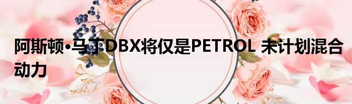 阿斯顿·马丁DBX将仅是PETROL 未计划混合动力