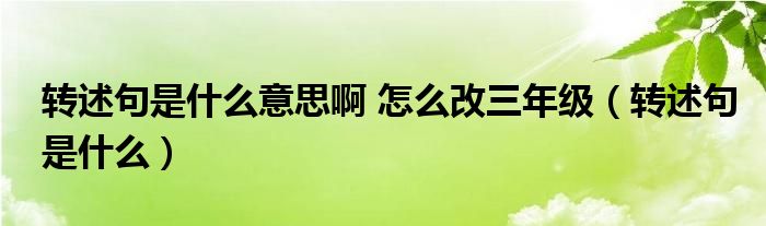 转述句是什么意思啊 怎么改三年级（转述句是什么）