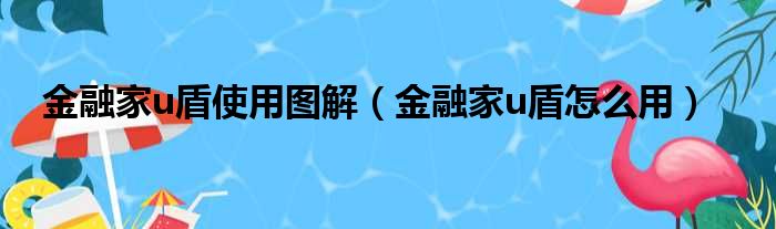 金融家u盾使用图解（金融家u盾怎么用）