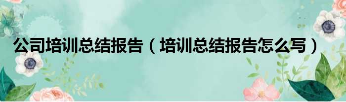 公司培训总结报告（培训总结报告怎么写）