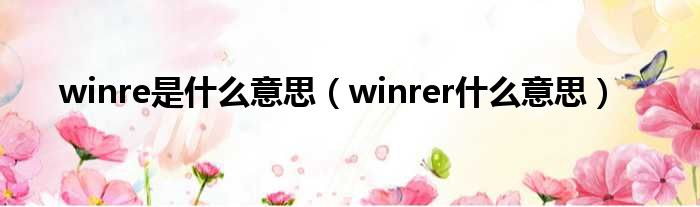 winre是什么意思（winrer什么意思）