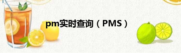 pm实时查询（PMS）