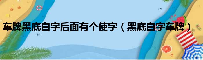 车牌黑底白字后面有个使字（黑底白字车牌）