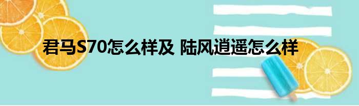 君马S70怎么样及 陆风逍遥怎么样