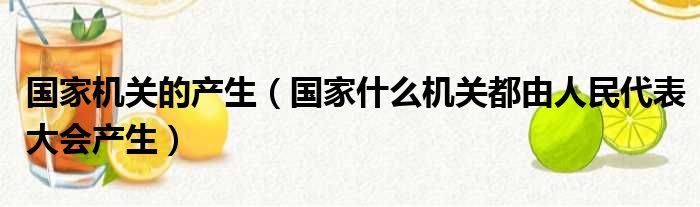 国家机关的产生（国家什么机关都由人民代表大会产生）