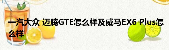 一汽大众 迈腾GTE怎么样及威马EX6 Plus怎么样