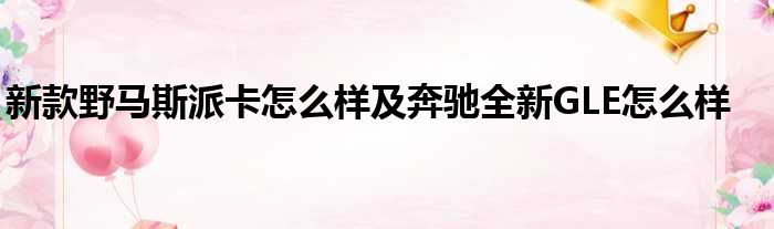 新款野马斯派卡怎么样及奔驰全新GLE怎么样