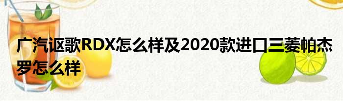 广汽讴歌RDX怎么样及2020款进口三菱帕杰罗怎么样