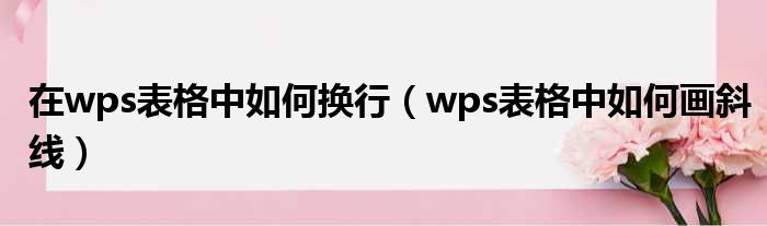 在wps表格中如何换行（wps表格中如何画斜线）