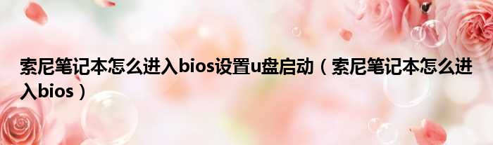 索尼笔记本怎么进入bios设置u盘启动（索尼笔记本怎么进入bios）