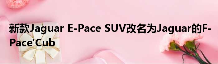 新款Jaguar E-Pace SUV改名为Jaguar的F-Pace'Cub