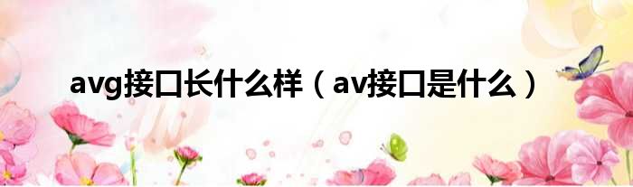 avg接口长什么样（av接口是什么）