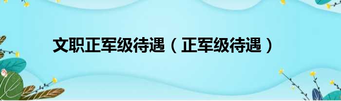 文职正军级待遇（正军级待遇）